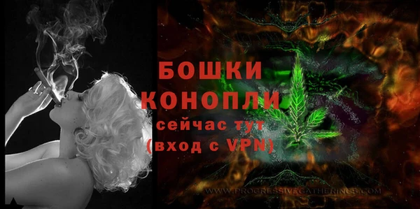 экстази Новозыбков