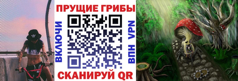 где купить наркоту Нижние Серги Галлюциногенные грибы Cubensis